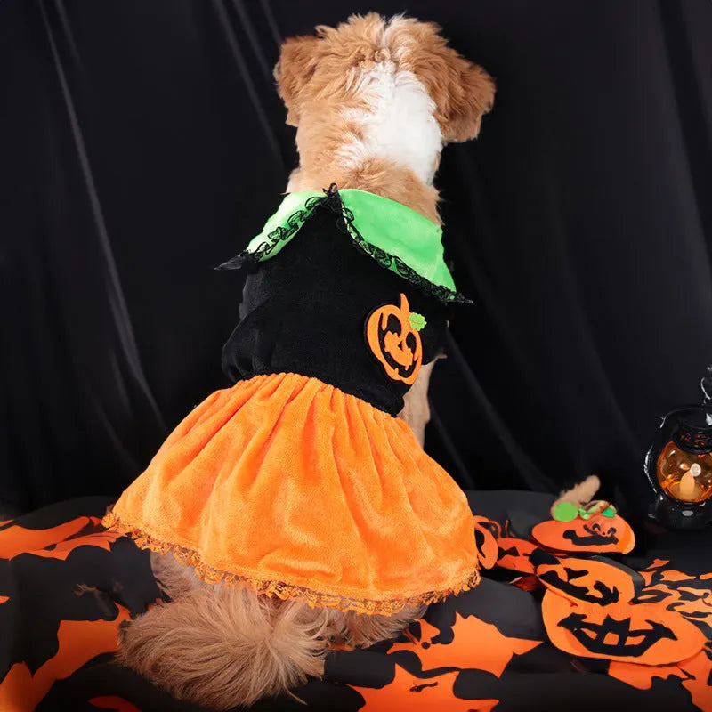Halloween pumpkin skirt and sweater pet costumes for dogs and cats in crystal velvet fabric