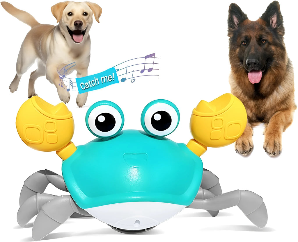 Blue or red crawling crab dog toy with obstacle avoidance sensors on a surface
