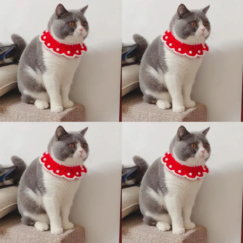 Knitted pet collar in wool and milk cotton with cartoon pattern, shown in multiple sizes for small animals.