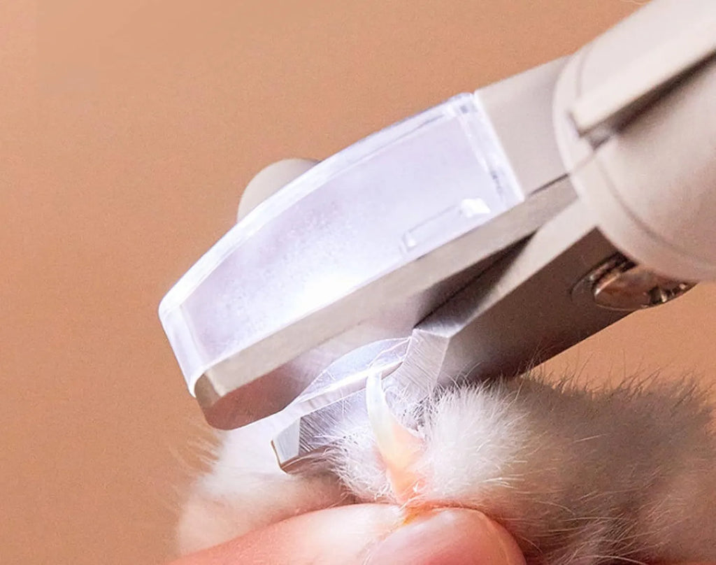 White pet nail clipper with LED light on handle and transparent anti-splash guard surrounding the blades.