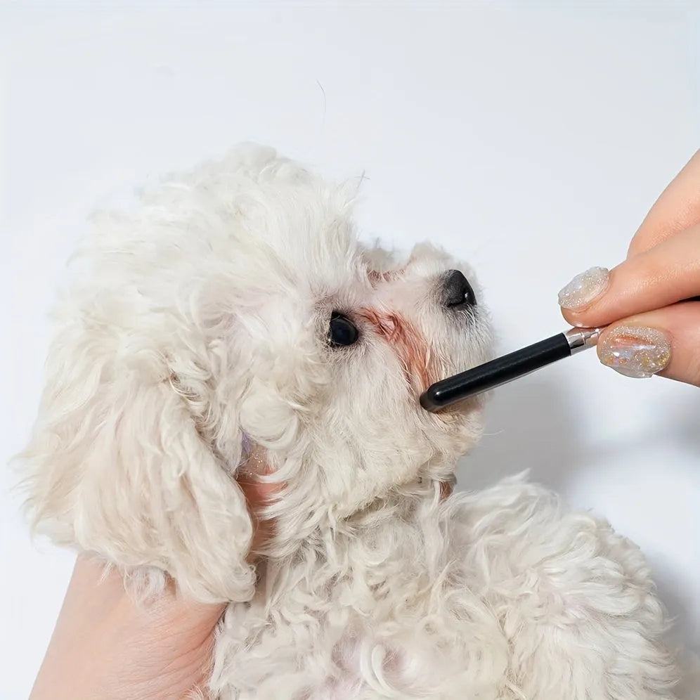 Black dual-head pet grooming brush with soft bristles and a comb, featuring an ambidextrous handle.