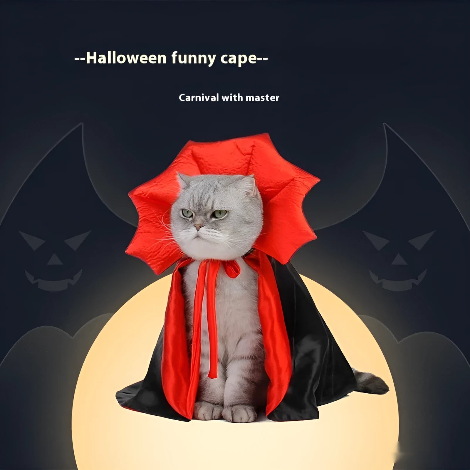 Black and red Halloween costume for cat or dog with European American styling