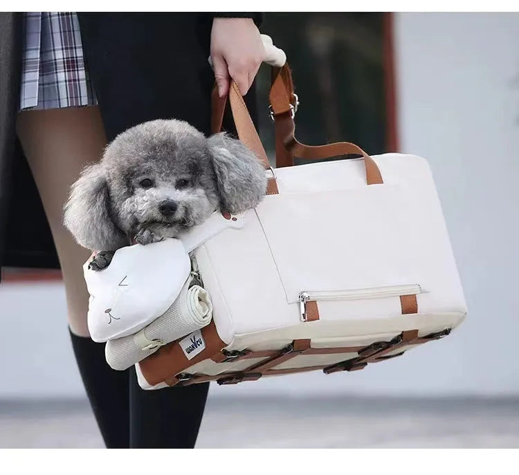 Beige hard-sided pet travel crate with a one-shoulder carry strap, shown with dimensions 43cm by 25cm by 22.5cm.