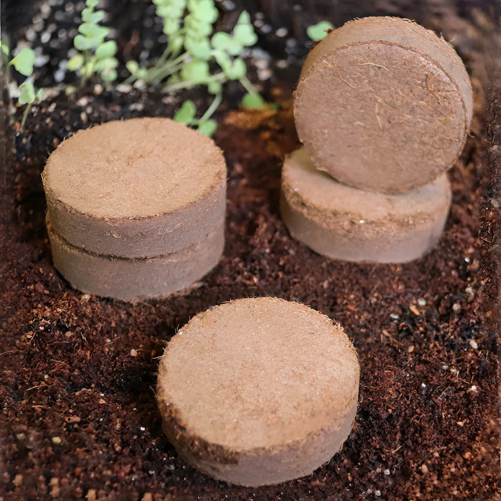 Nutrient soil blocks for vegetable seedling cultivation in various sizes on a garden table