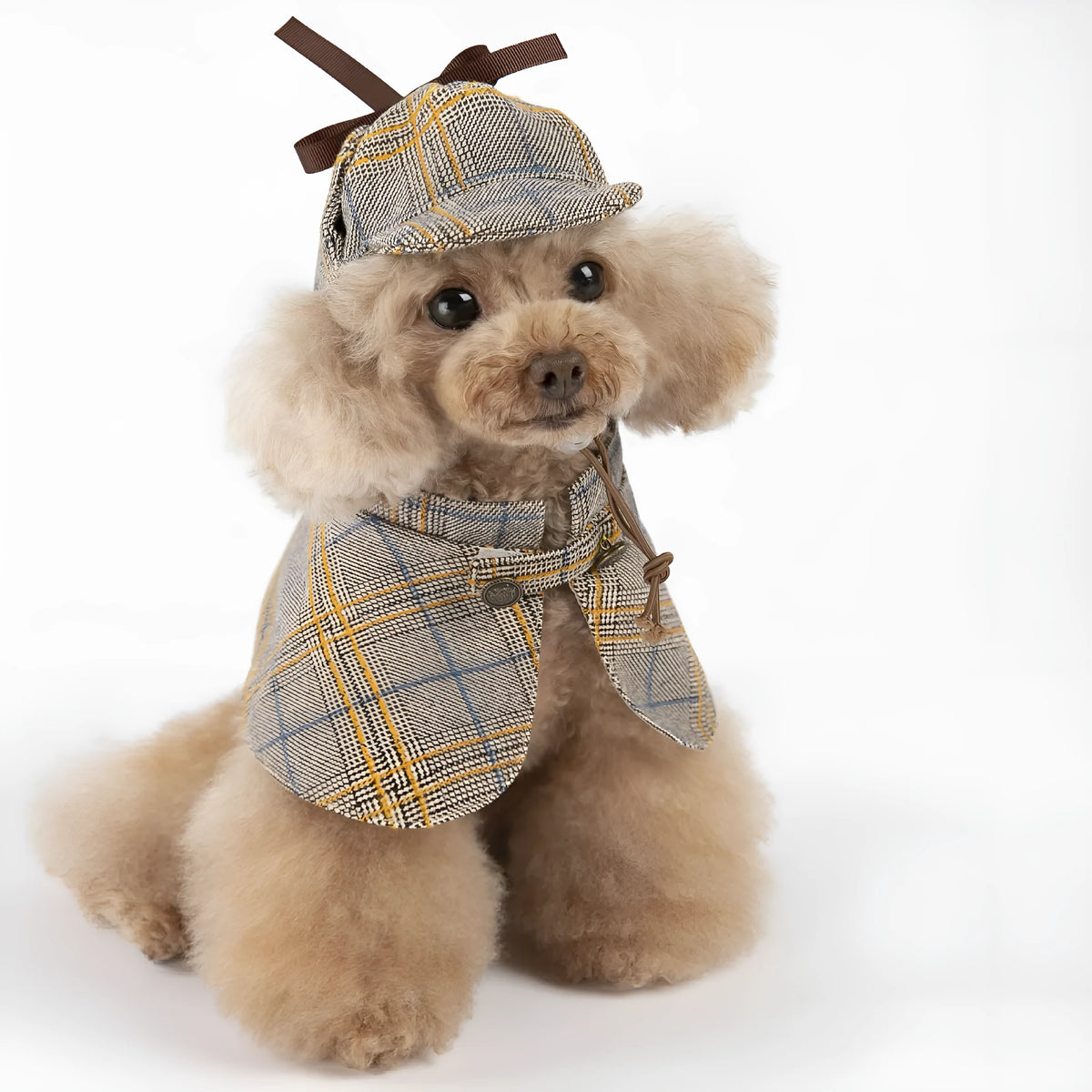 Camel coloured cotton pet cloak with adjustable hood shown on dog model