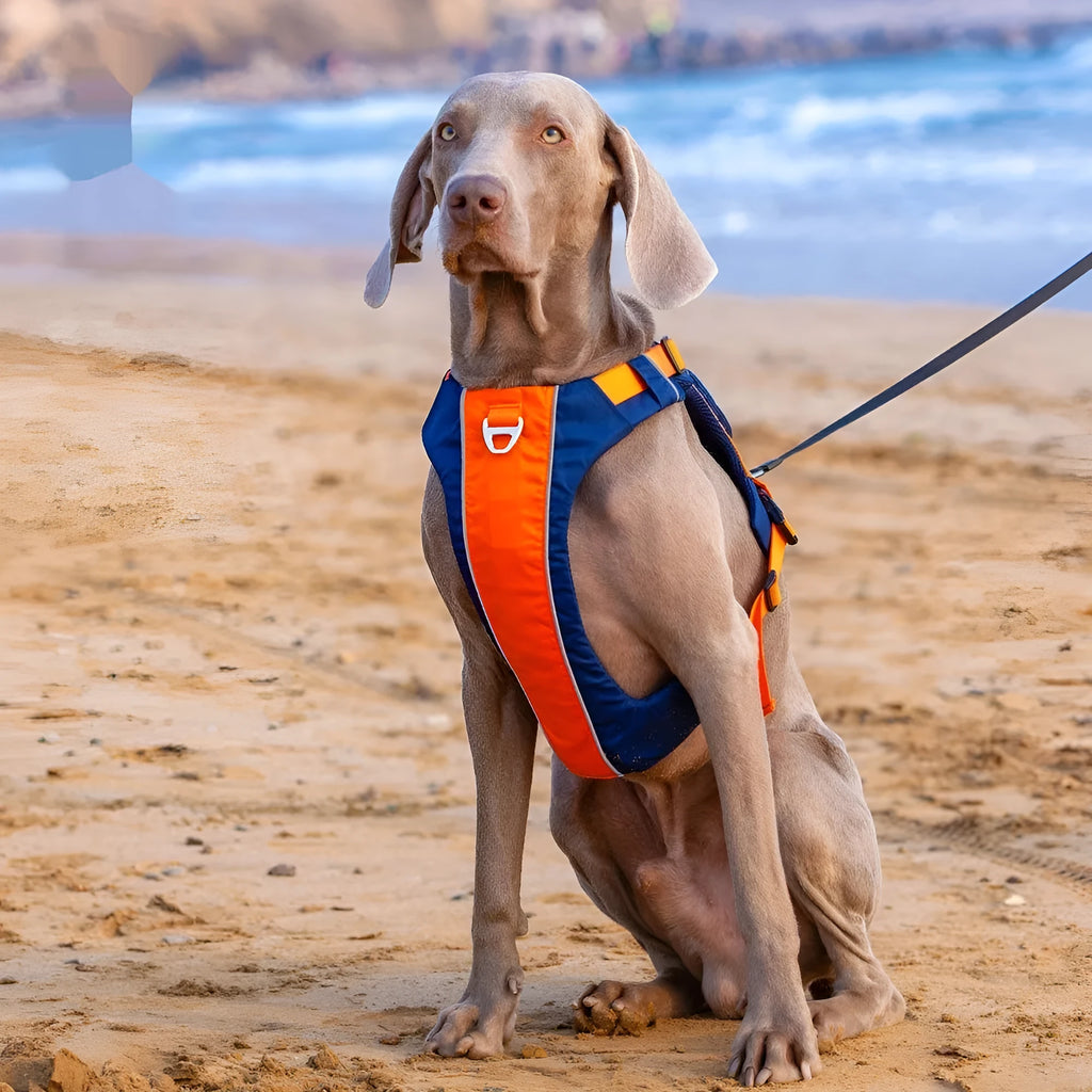 Orange blue nylon dog chest strap vest with hand rope in adjustable vest-style design