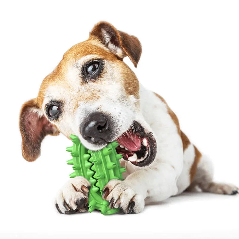 Green cactus-shaped dog toothbrush toy for dental cleaning with textured bumps and channels