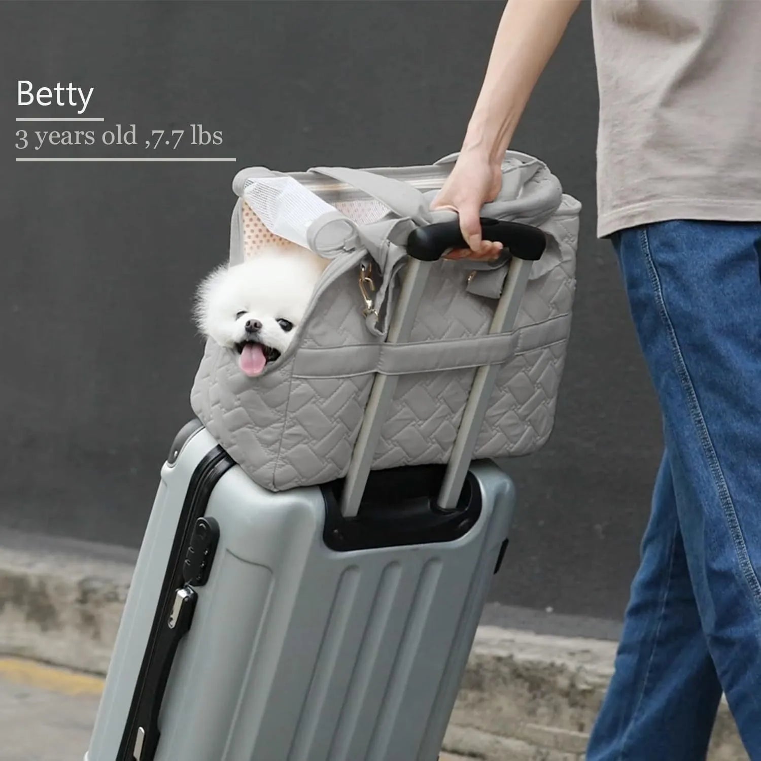 Grey pet carrier handbag with mesh panels and multiple pockets for cats or small dogs