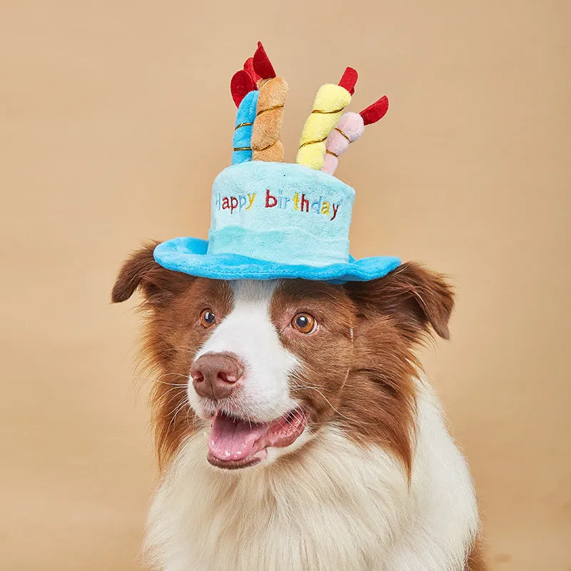 Blue and pink small dog birthday hat toy showing 21cm by 15cm by 6.5cm dimensions