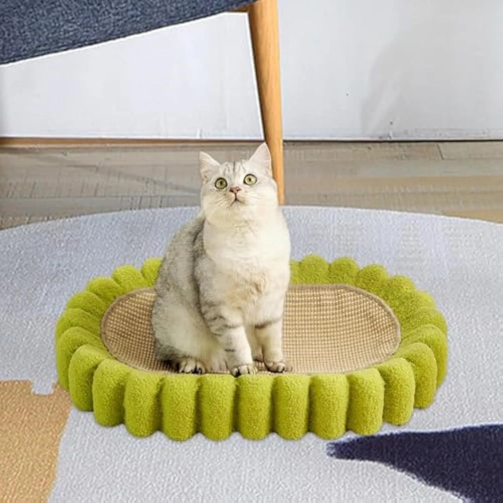 Green oval cat scratcher bed with sisal surface, showing bowl shape for scratching and sleeping