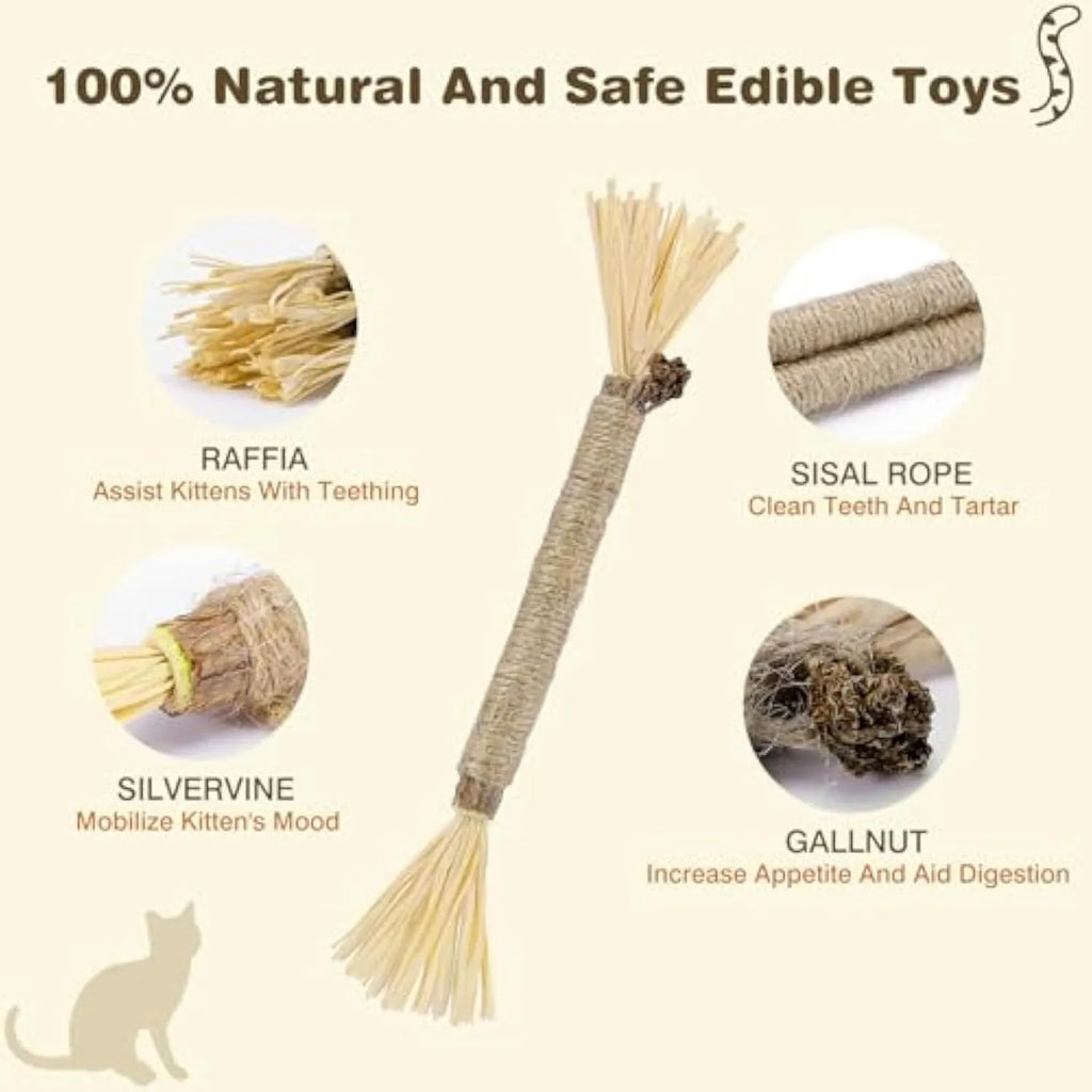 Three natural silvervine chew sticks for cats with sisal rope and raffia dental care elements