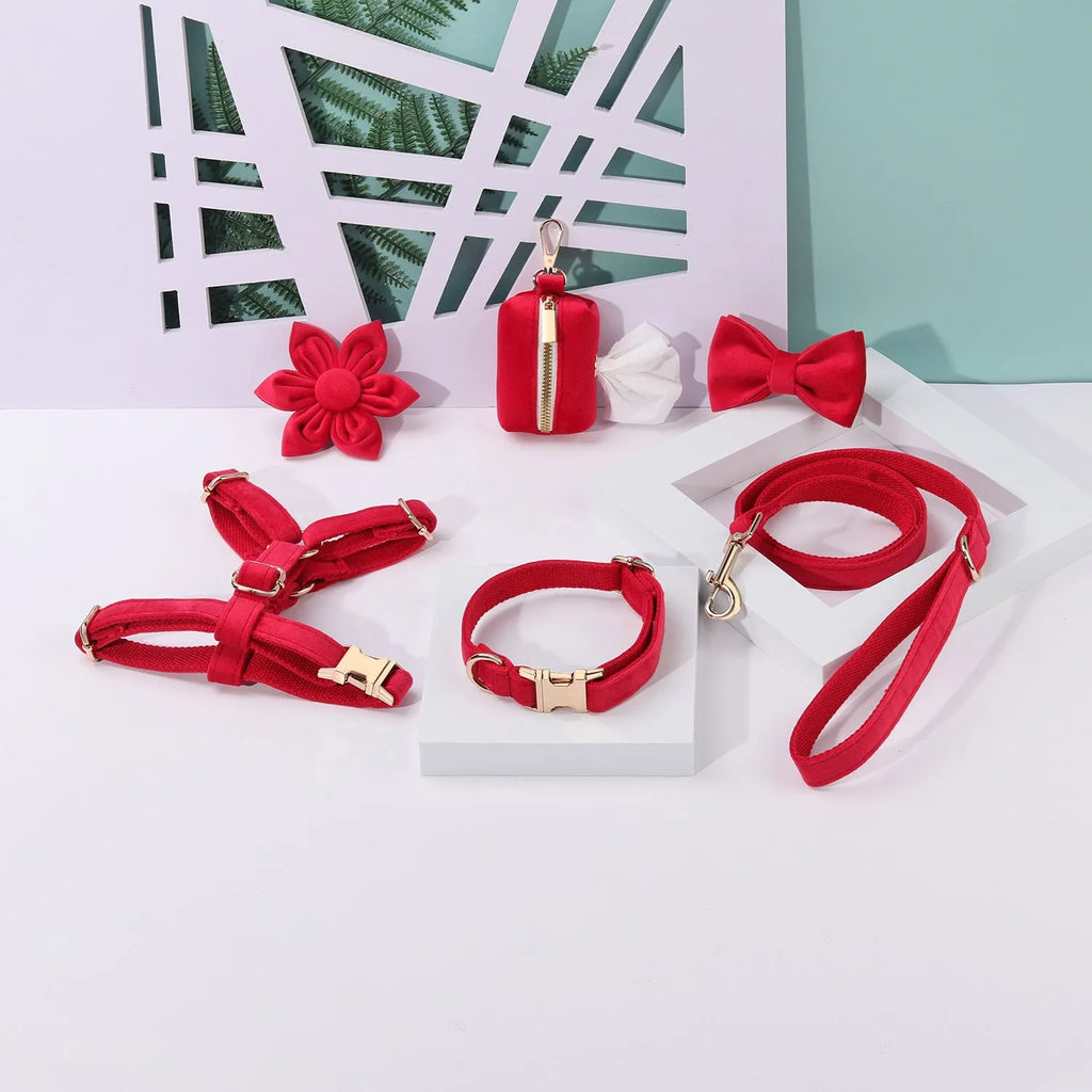 Complete velvet dog collar and traction rope set with bow tie, flower, and toilet bag on a table