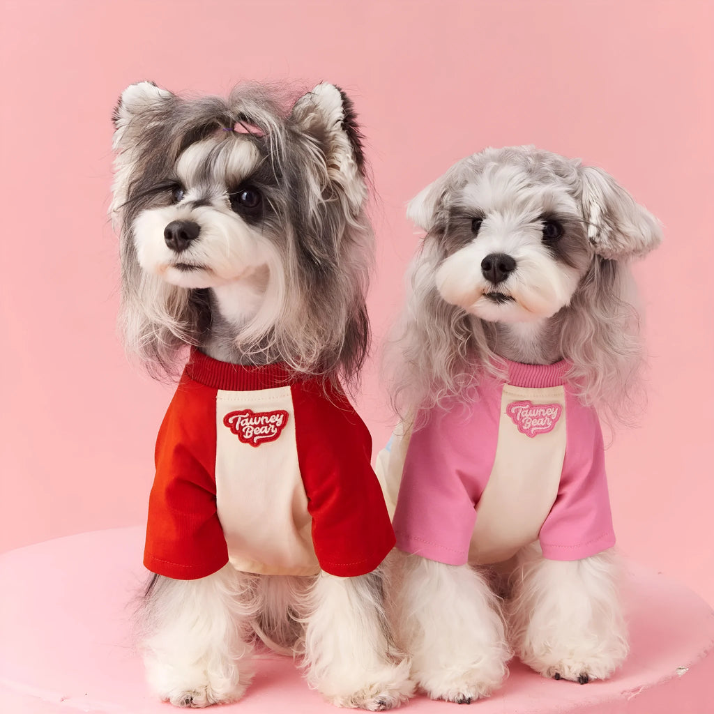 Red embroidered cotton summer dog clothing on a small dog, showing lightweight design.