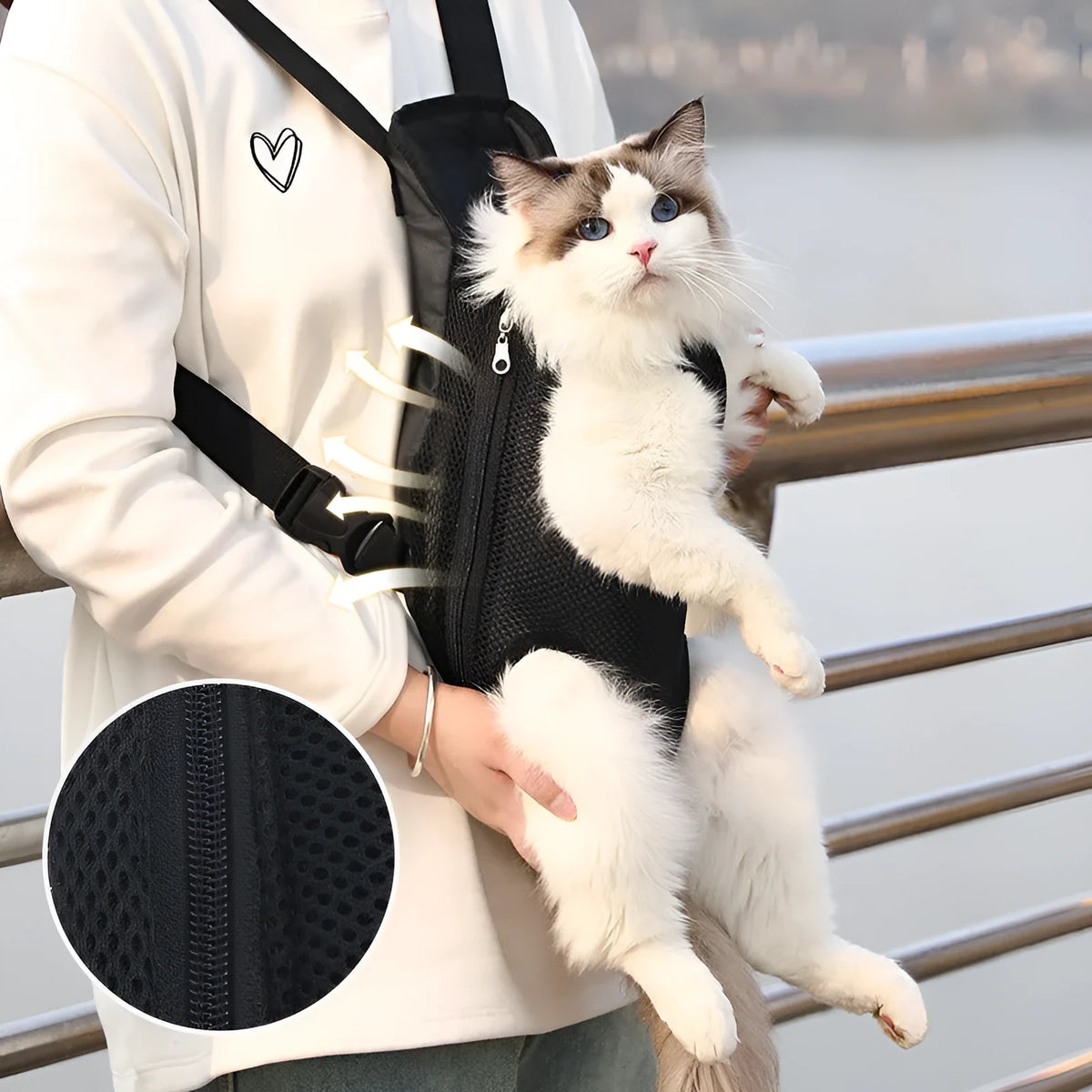 A person wearing a black nylon dog carrier backpack with a small dog looking out from the open top.