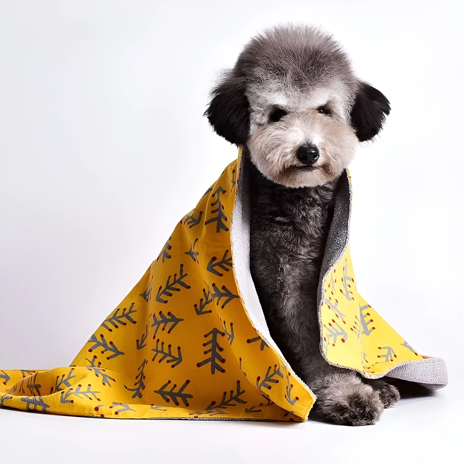 Double-sided cotton wool pet blanket with cartoon dinosaur print, shown in size L next to a dog bed.
