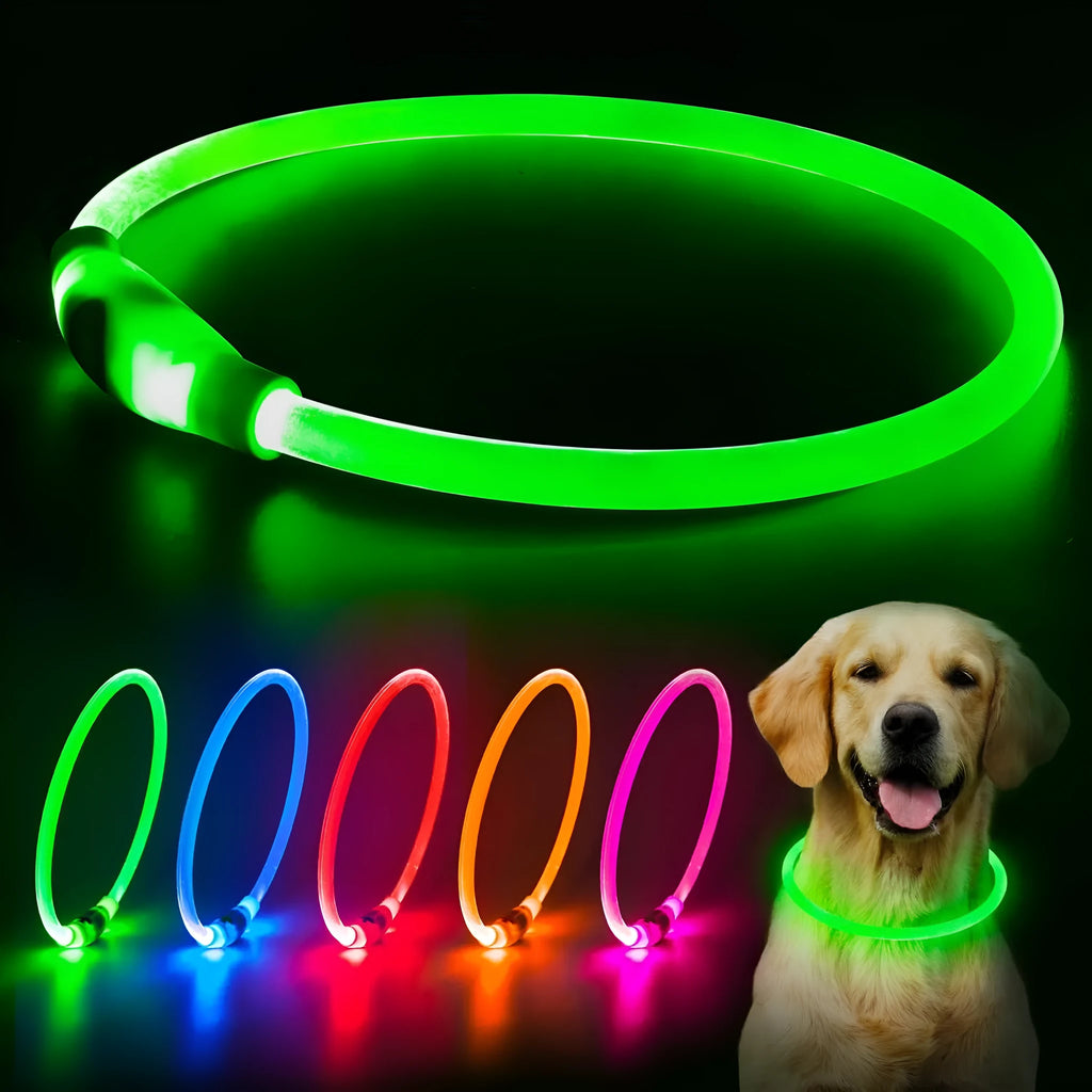USB rechargeable LED dog safety collar showing blue illuminated band with adjustable 70cm length