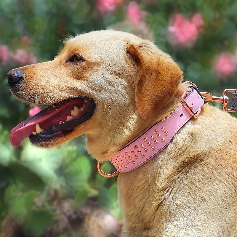 Genuine leather dog collar with metal rivet studs and a strong metal buckle in black, chocolate, or pink colour.