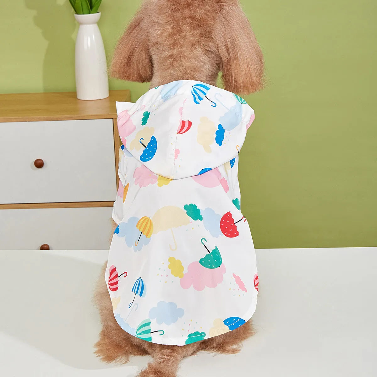 Colourful cartoon umbrella pattern dog raincoat on model dog