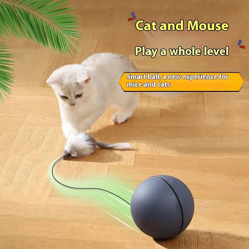Automatic cat teasing ball with plush mouse attachment in blue orange and dark grey colours