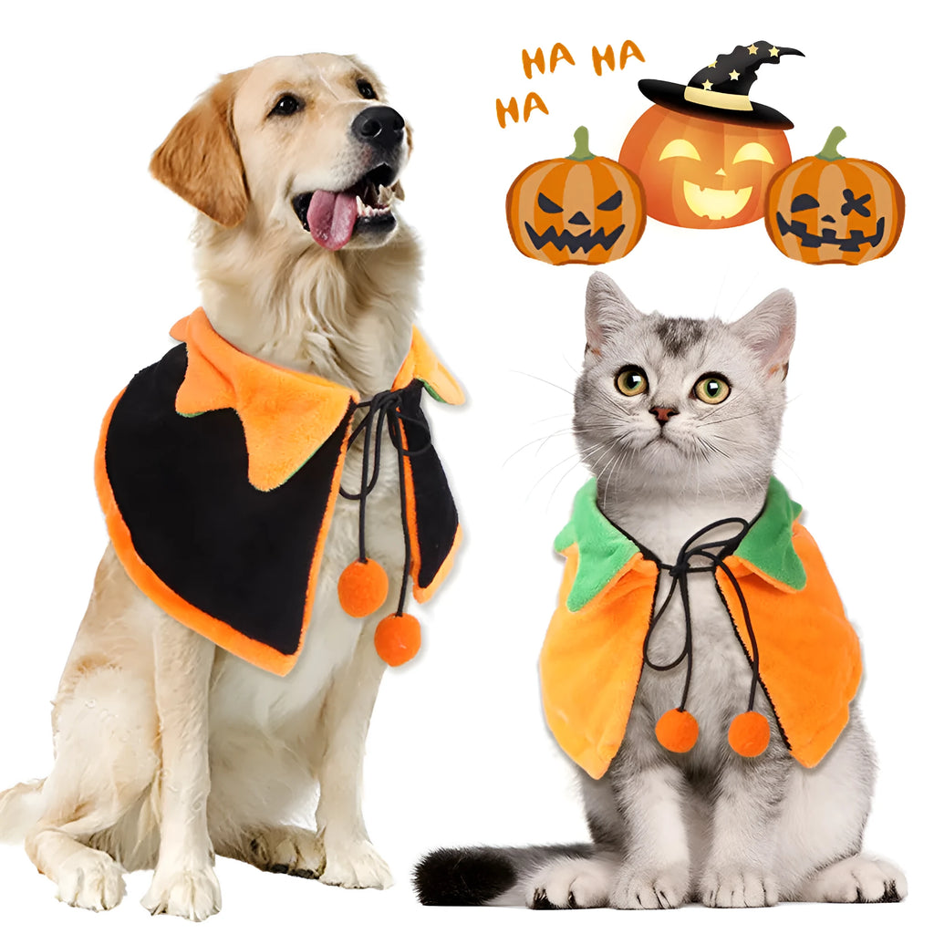 Orange pumpkin print double-sided plush cloak with matching hat on a dog for Halloween.