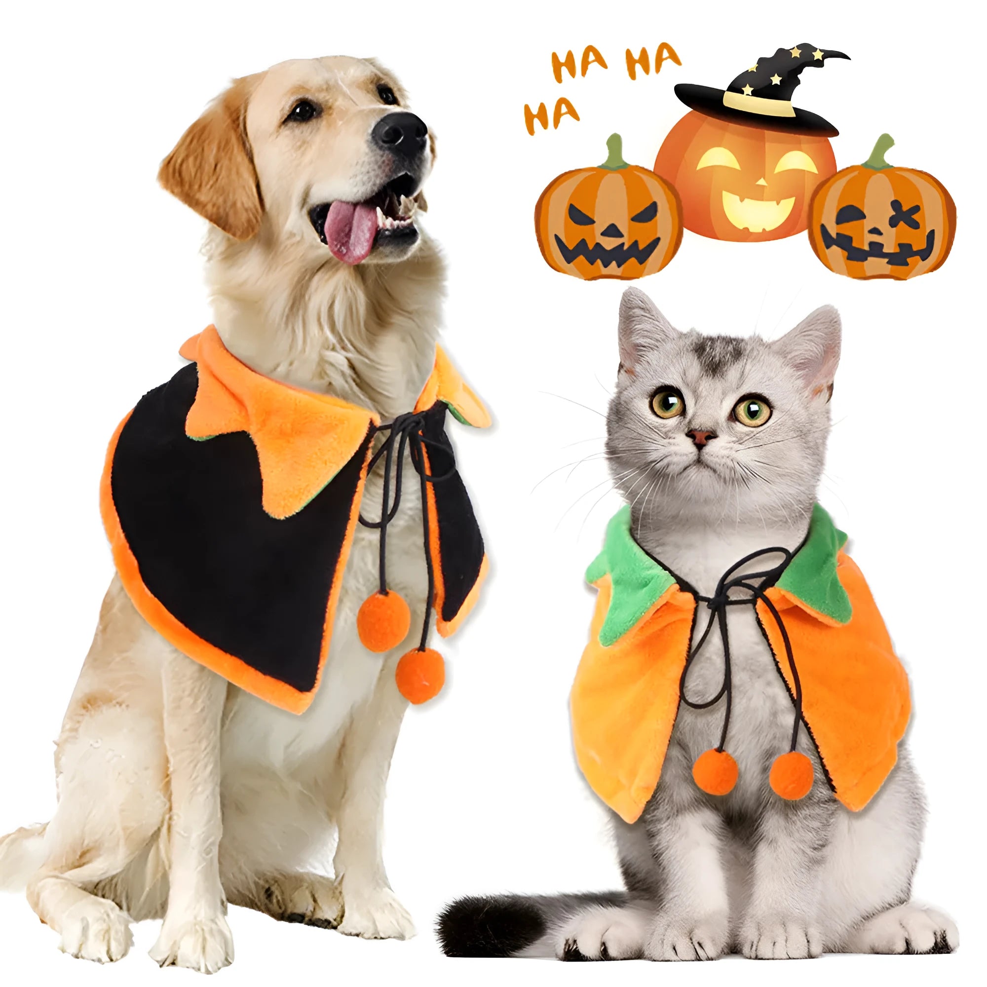 Orange pumpkin print double-sided plush cloak with matching hat on a dog for Halloween.