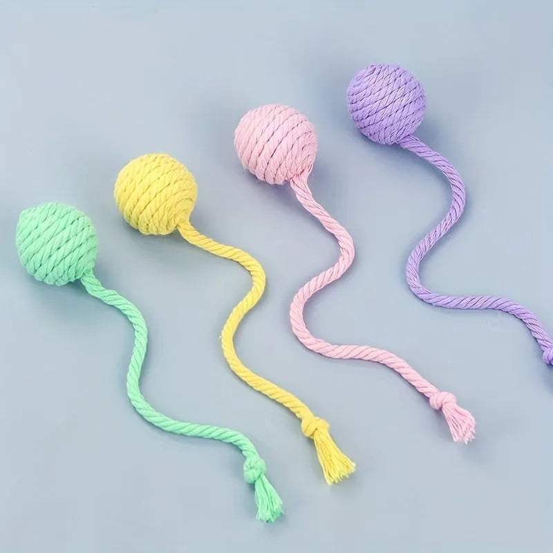 Colourful cat toy ball with a rope and built-in bell for interactive kitten play.