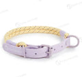 Solid colour PVC dog leash with hand-holding rope function showing 120cm length