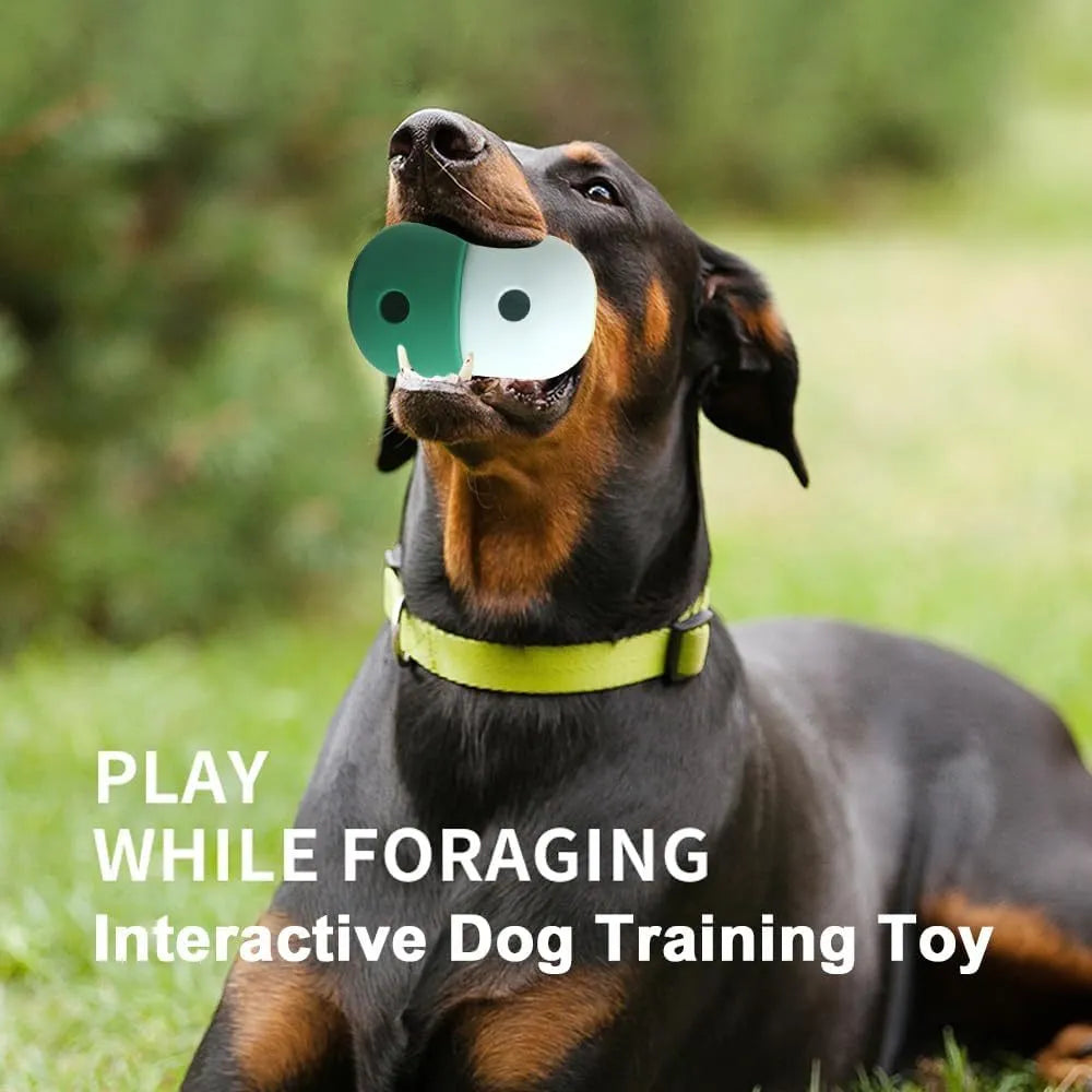 Dog treat puzzle toy in assorted colours for small medium dogs with detachable design