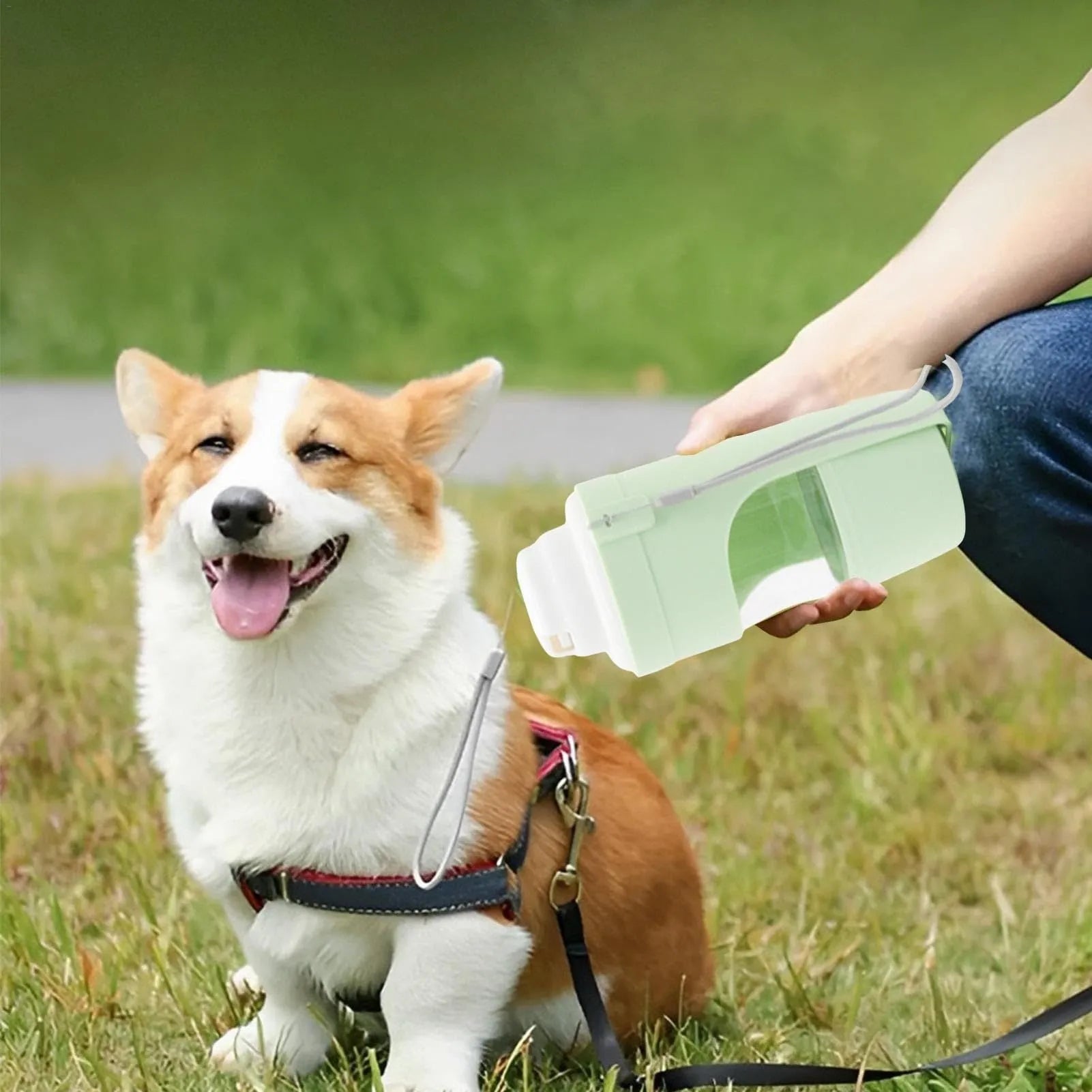 Green 2-in-1 travel dog water bottle and food container with attached lanyard, shown folded.