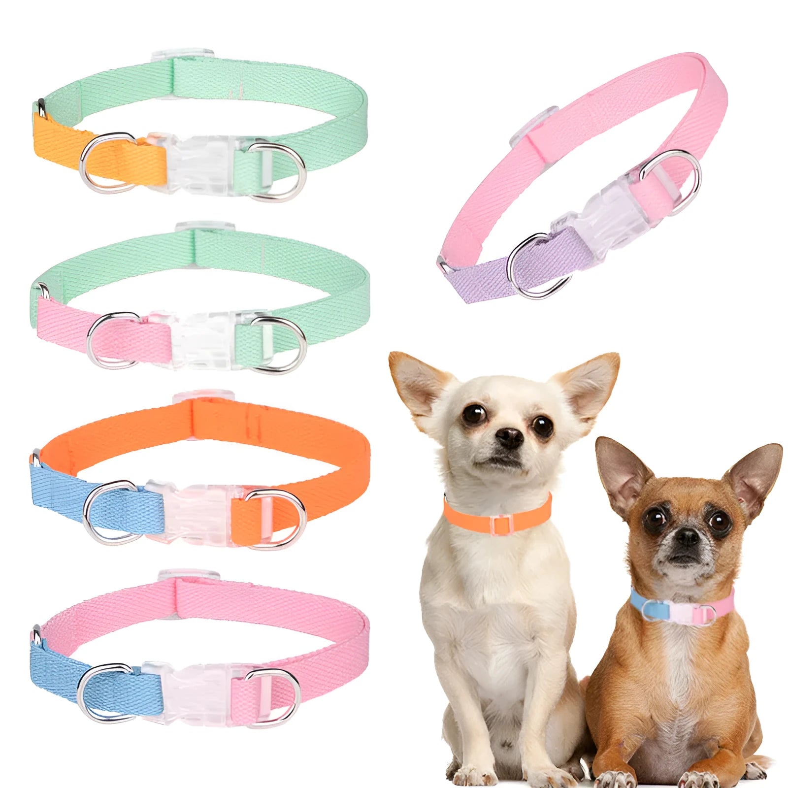 Polyester rib dog collar and lead set in multicolour combination with adjustable sizing