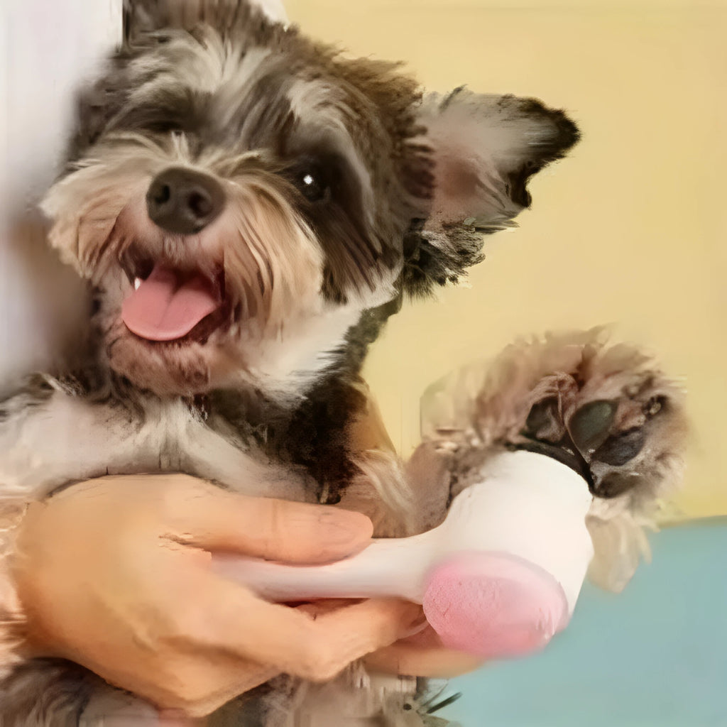 Nylon pet paw brush in Blue or Pink for gentle dog and cat grooming