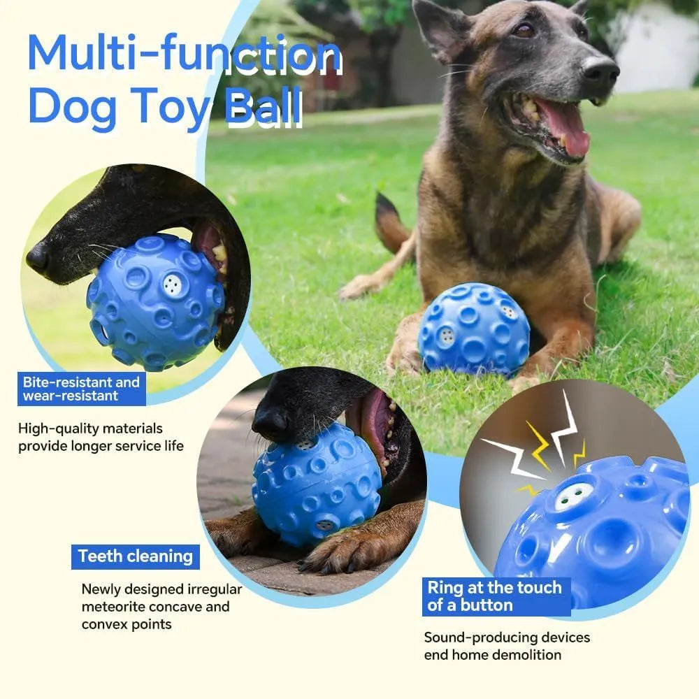 Colourful rubber dog toy ball with textured surface for aggressive chewers and anxiety relief