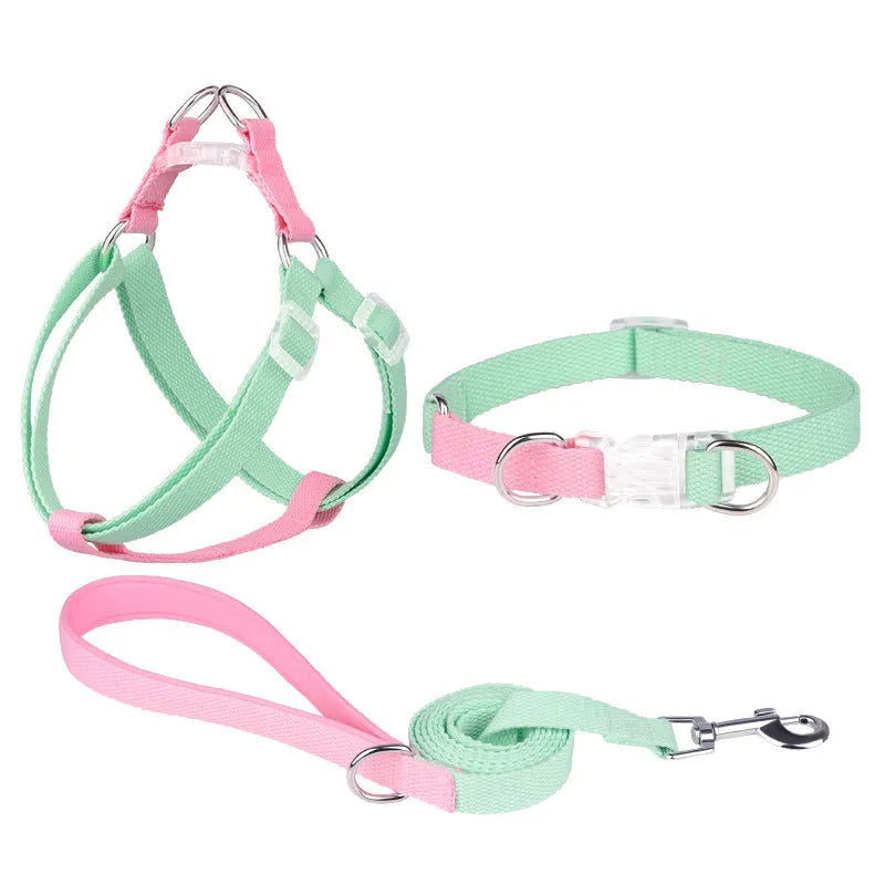 Polyester rib dog collar and lead set in multicolour combination with adjustable sizing