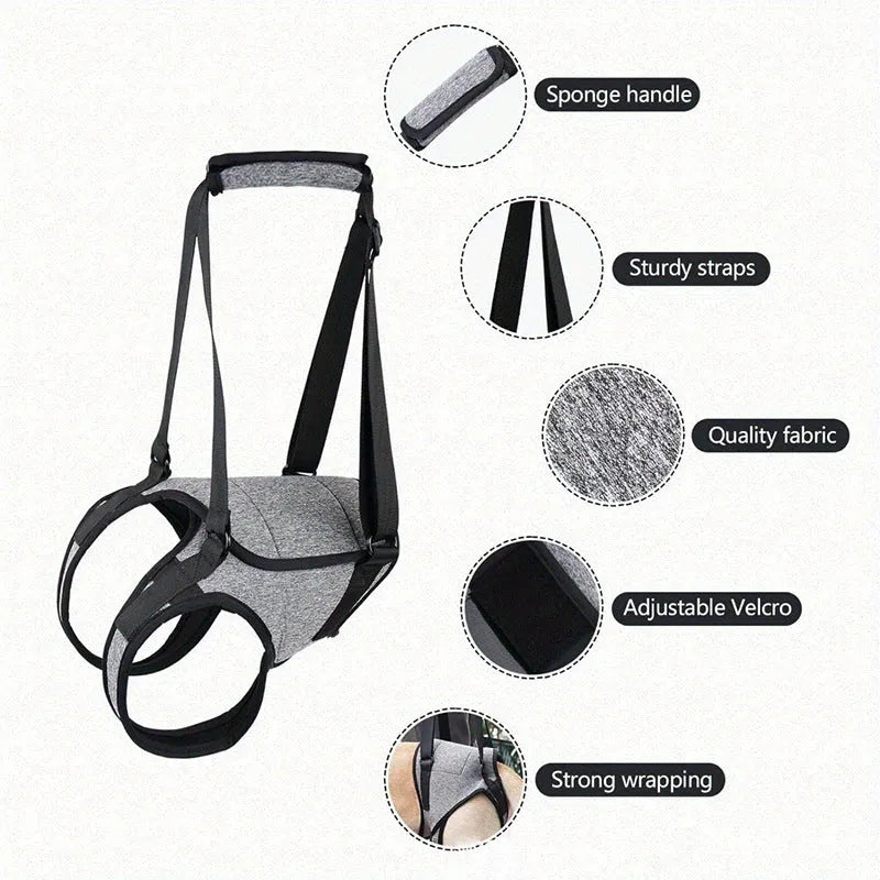 Grey neoprene dog recovery belt for hind leg support, L size adjustable fit