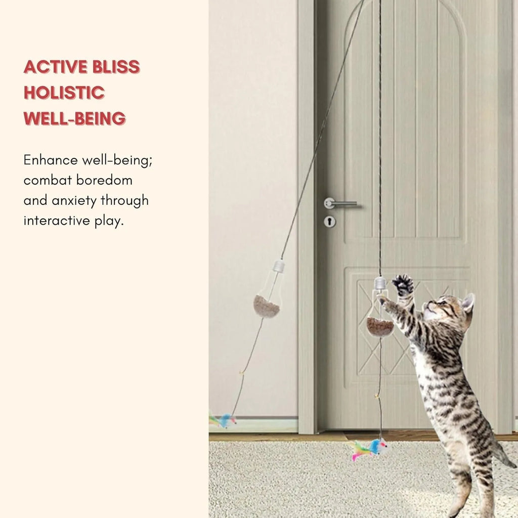 Interactive cat toy hanging on door frame with elastic rope, dangling mouse toy, and treat reward bulb
