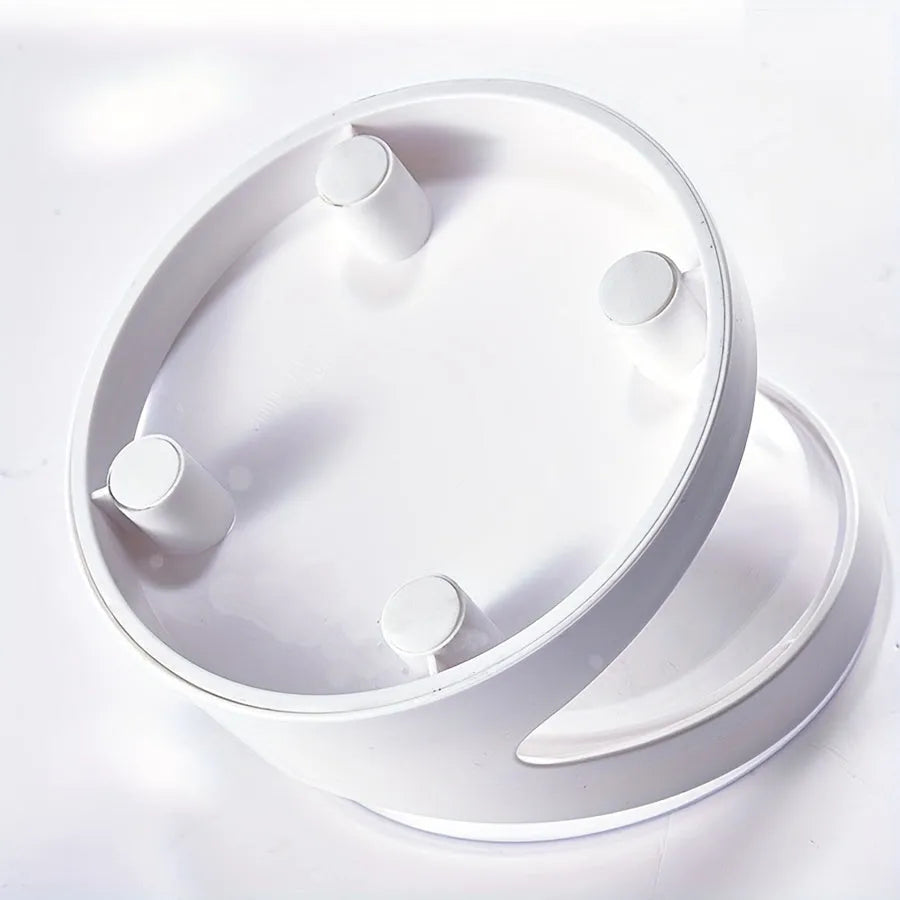 Clear plastic tilted cat food bowl for ergonomic feeding and neck protection