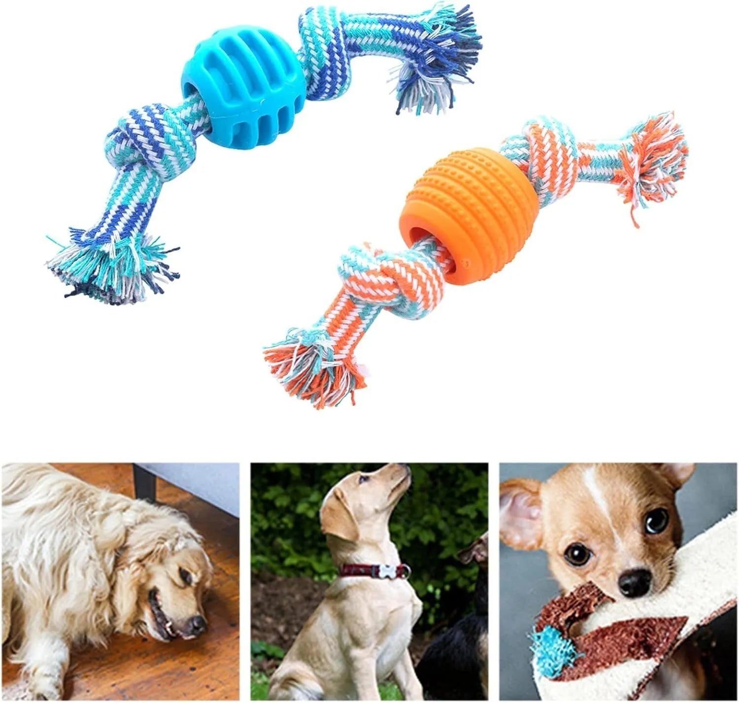 Blue and rope dog dental chew toy for teeth cleaning and interactive play