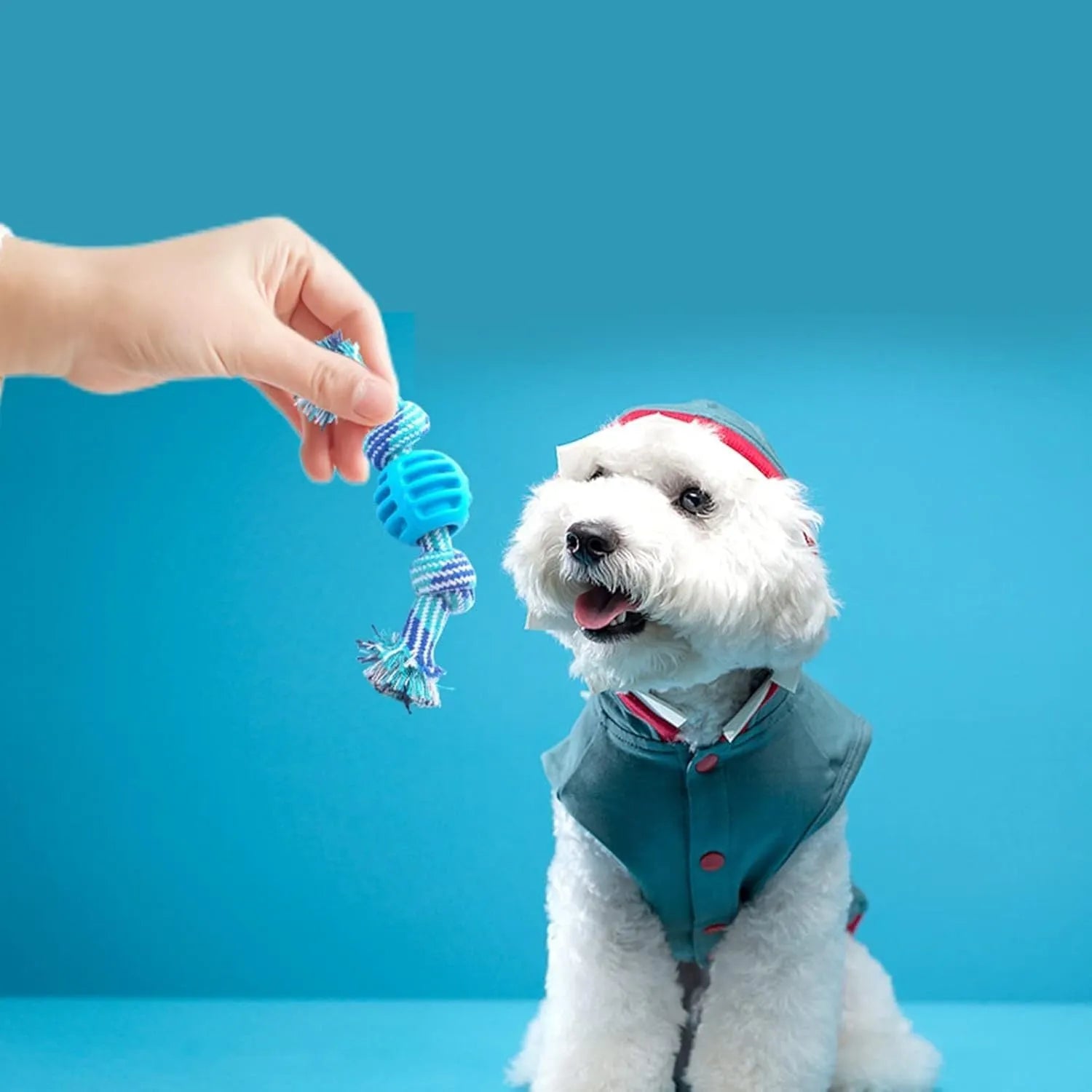 Blue and rope dog dental chew toy for teeth cleaning and interactive play