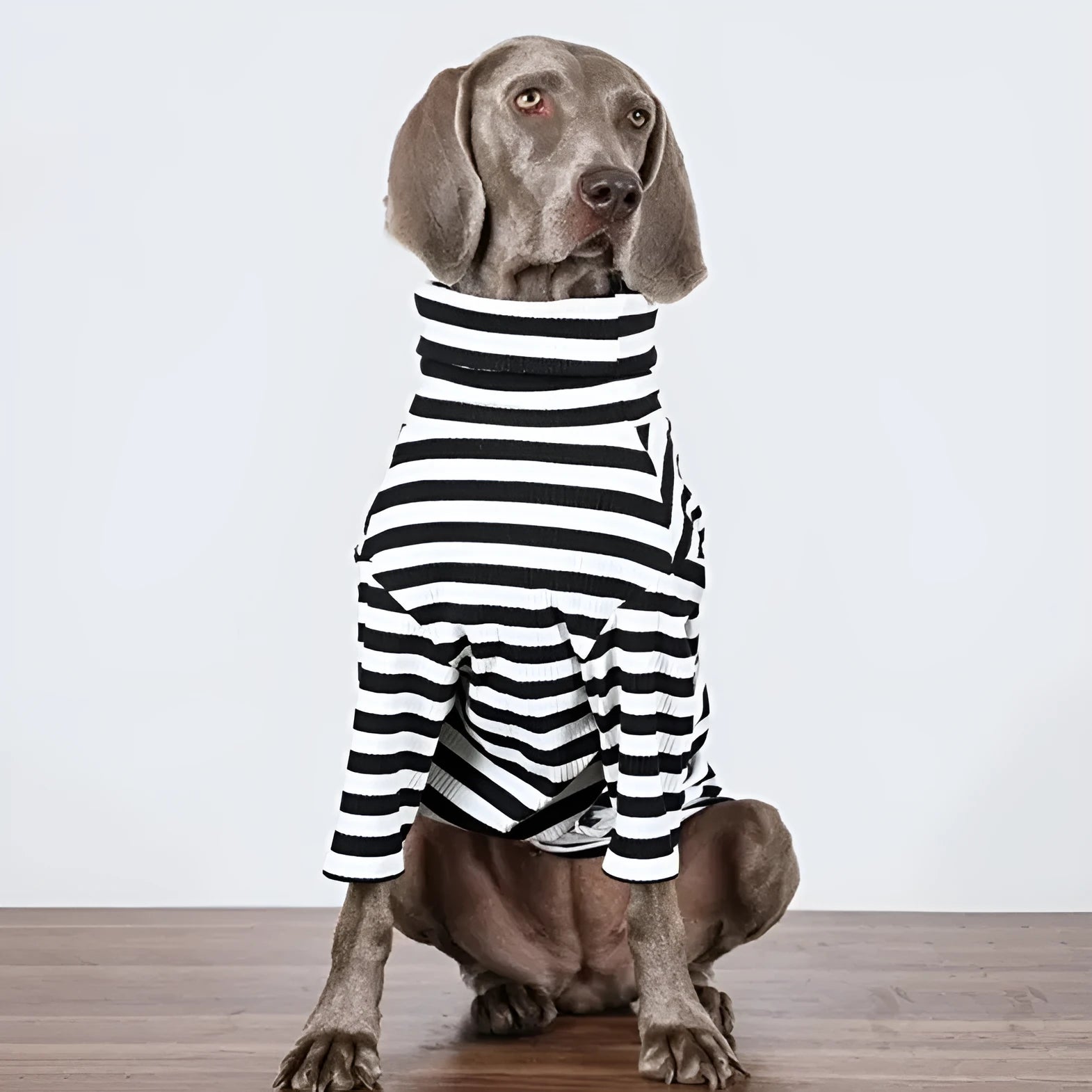 Black and white thin polyester dog jacket for large breeds, sizes M L XL XXL XXXL.
