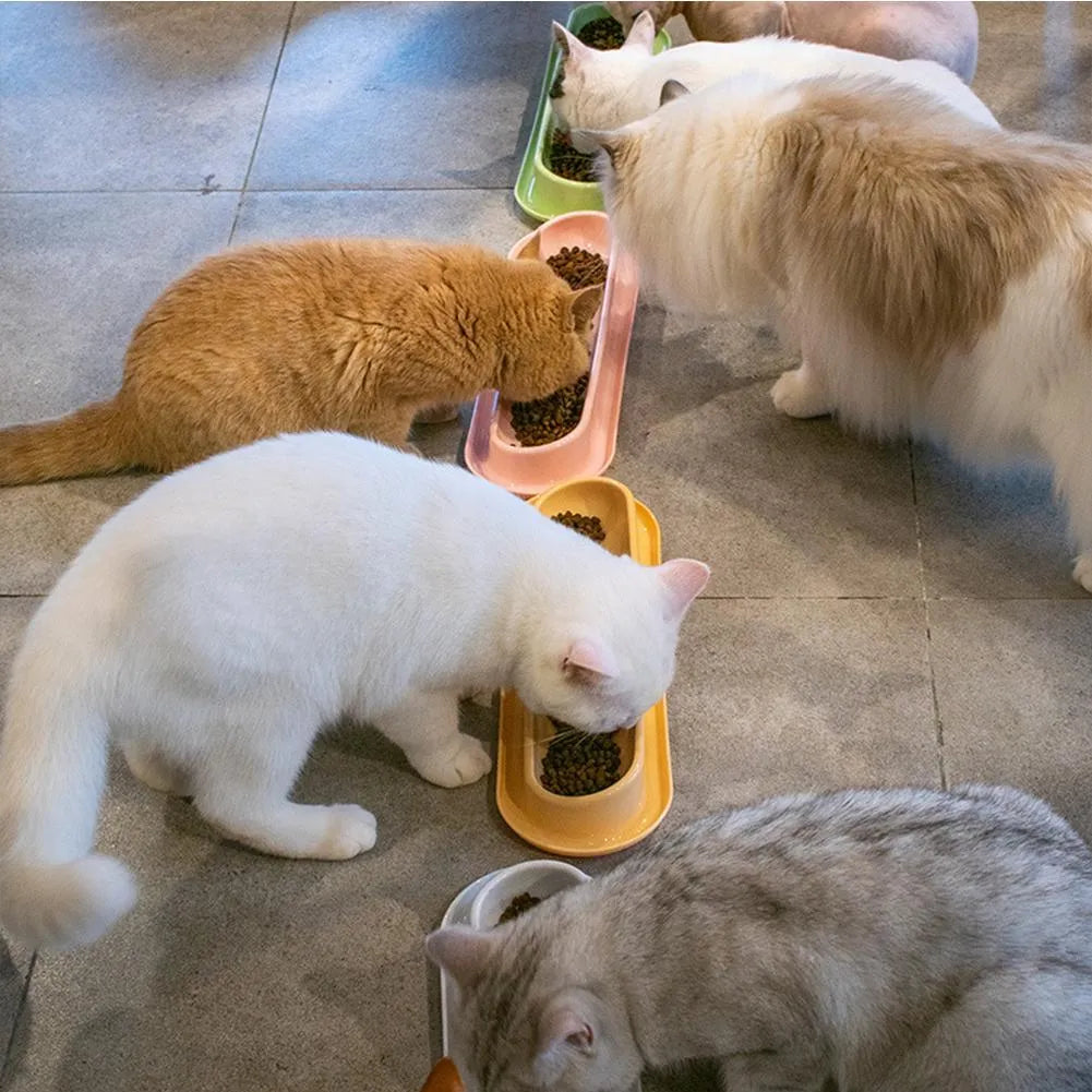 Set of four coloured plastic pet bowls with non-slip rubber bases for cats and dogs.