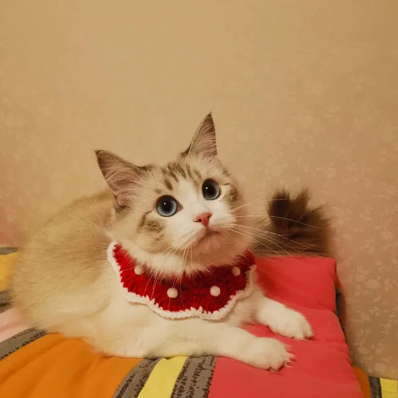 Knitted pet collar in wool and milk cotton with cartoon pattern, shown in multiple sizes for small animals.
