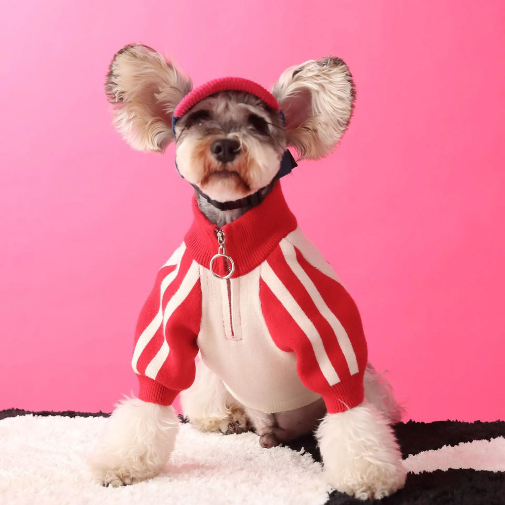 Red wool dog sports sweater cardigan for puppies in casual style