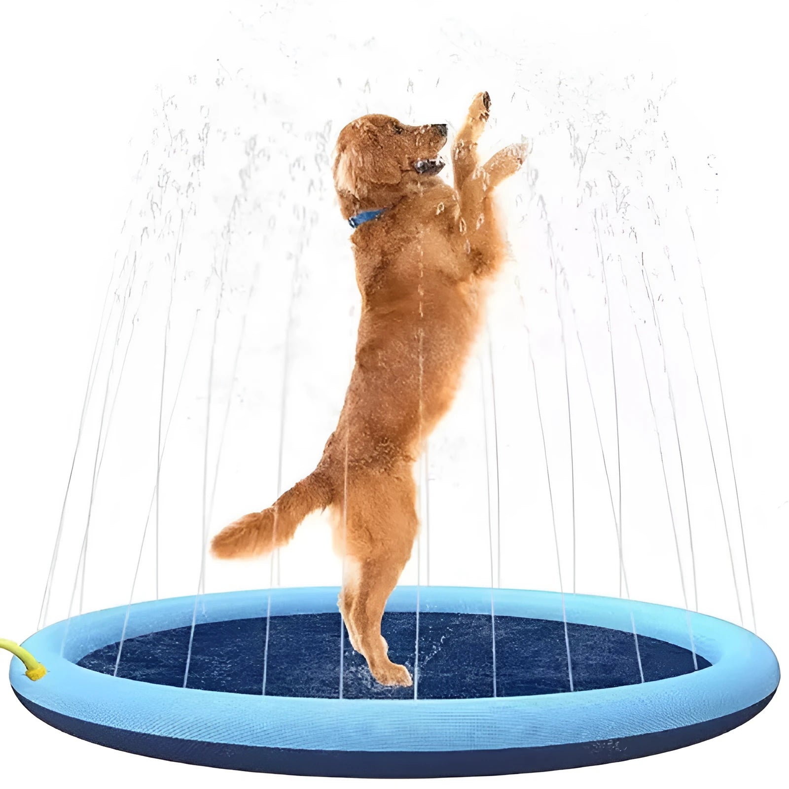 Blue anti-slip dog splash pad pool mat for outdoor water play in three size options.