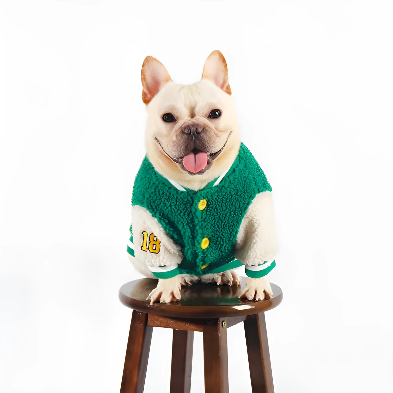 Green fleece-lined cotton dog winter jacket showing sizing options from L to 4XL