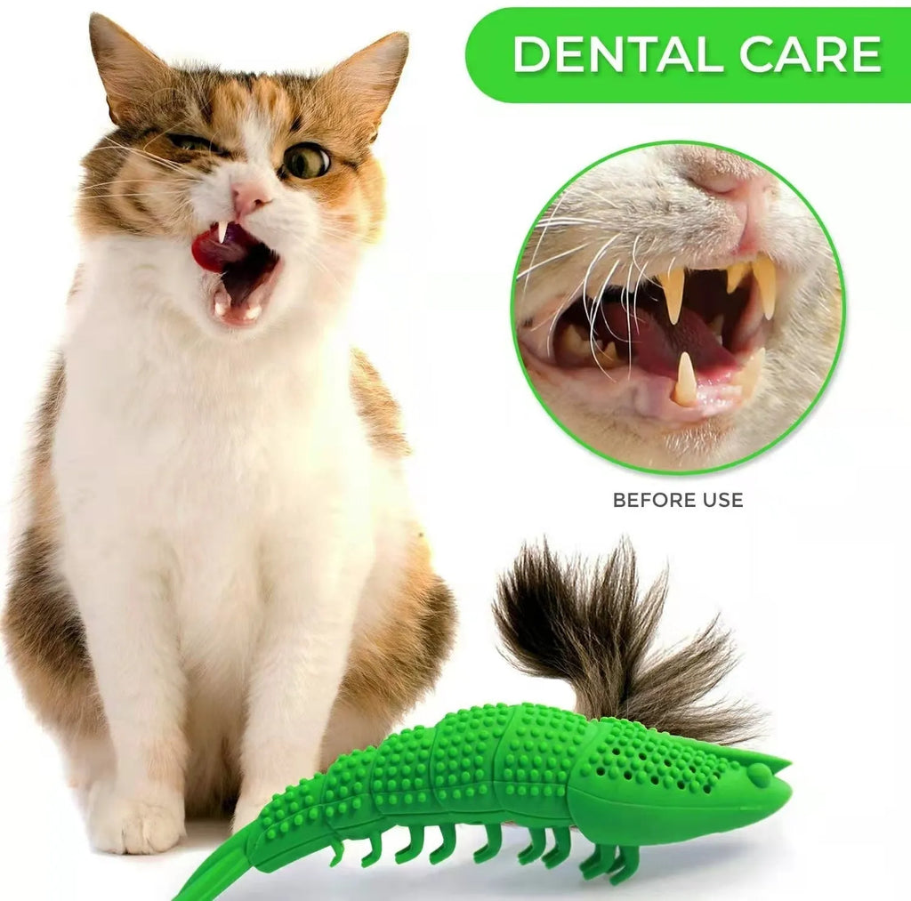 Blue hard rubber catnip toy with toothbrush texture for chewing and play.