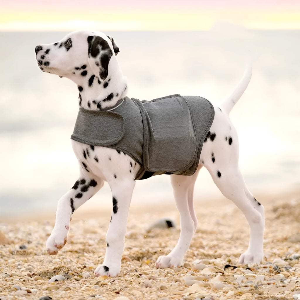 Heather grey dog anxiety jacket and warm vest on mannequin showing brocade cotton ponte-de-roma fabric