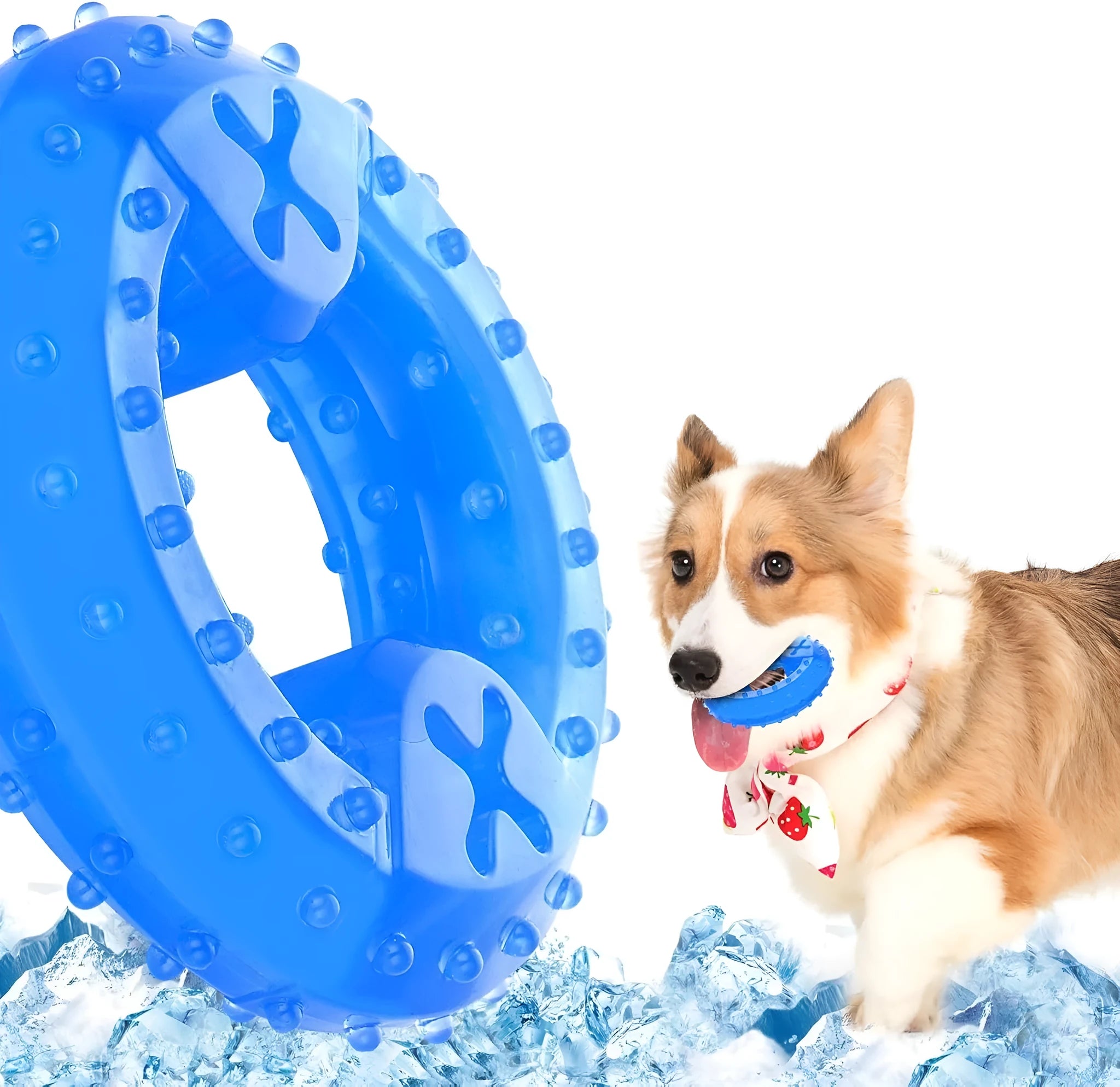Freezable cooling chew toy for dogs and puppies in bone and circle shapes