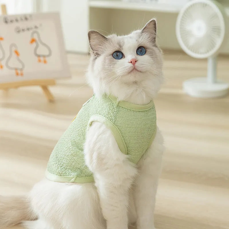 Blue knitted cat clothing with hollowed-out sections and a cartoon bear patch on the front.
