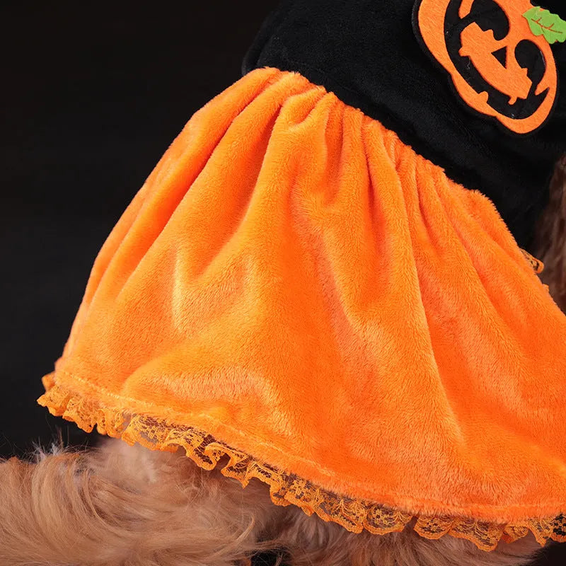 Halloween pumpkin skirt and sweater pet costumes for dogs and cats in crystal velvet fabric