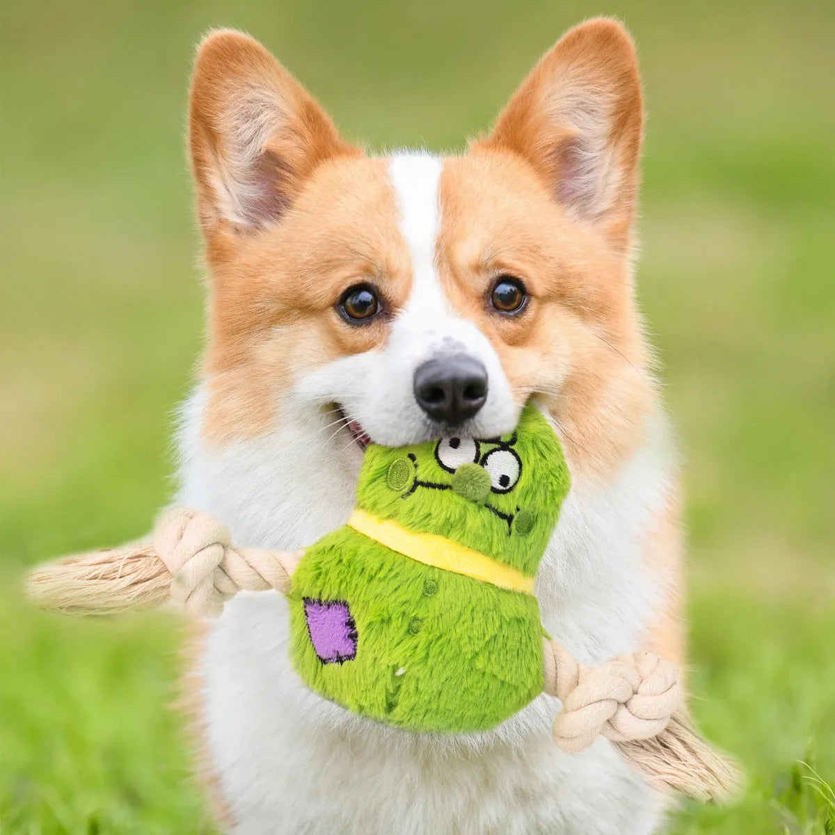 Green and purple interactive dog plush toy with internal rope knot for tug-of-war and chewing.